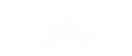 Full-White-Transparent-Logo-3-Tier