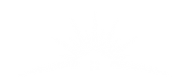transparent logo