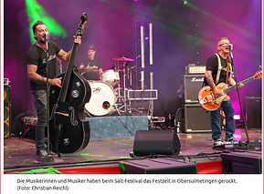 PigAss_2025-06-24 Sält - Startscreen.jpg