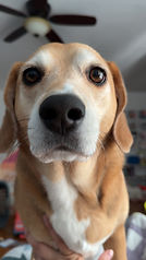IMG_5909.jpeg