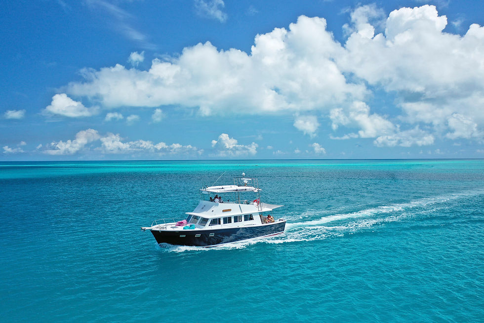 Traveller Charters - Christmas Boat Parade