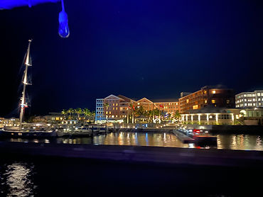 IMG_7974.jpeg