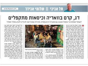 שחף בשמי פארק המסילה