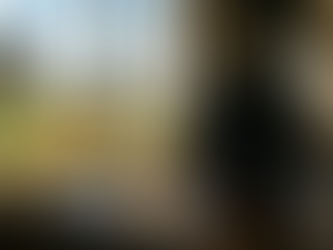 האביב של ג'פטו