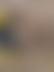 Picking the Right Trenching Company for Your Job