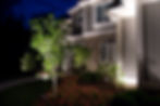 cool white landscape lights texas.jpg