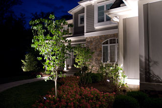 cool white landscape lights texas.jpg