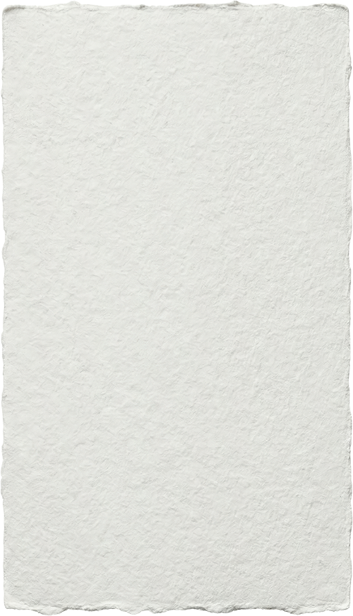 Rebecca Schaper Deckled Paper.png