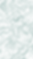 Topo Alpine.png