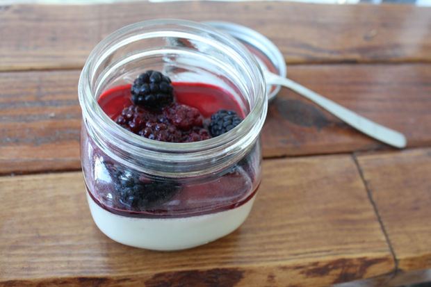 Milk & Honey Panna Cotta with Vanilla Blackberries