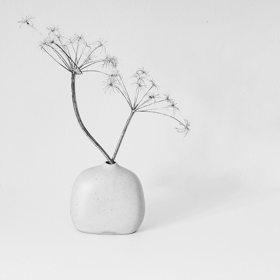 Seed Heads