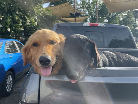 Week 4 (June 16th-20th)