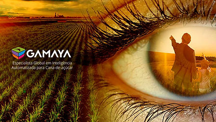 Gamaya, design agro, designer especialista em agro, agtech