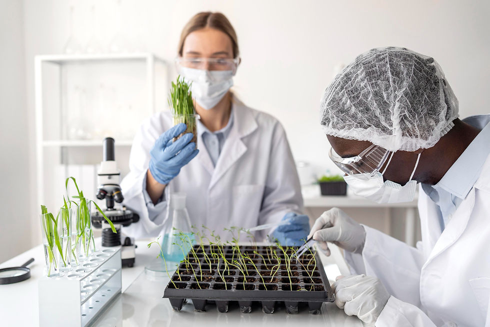 Aplicação de Bioinsumos e Clima: Uma Conversa que o Mercado Evita.