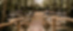 Marshwood Manor wedding in Dorset-8_edited.jpg