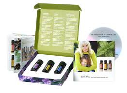 Introduction Box | lcessentials