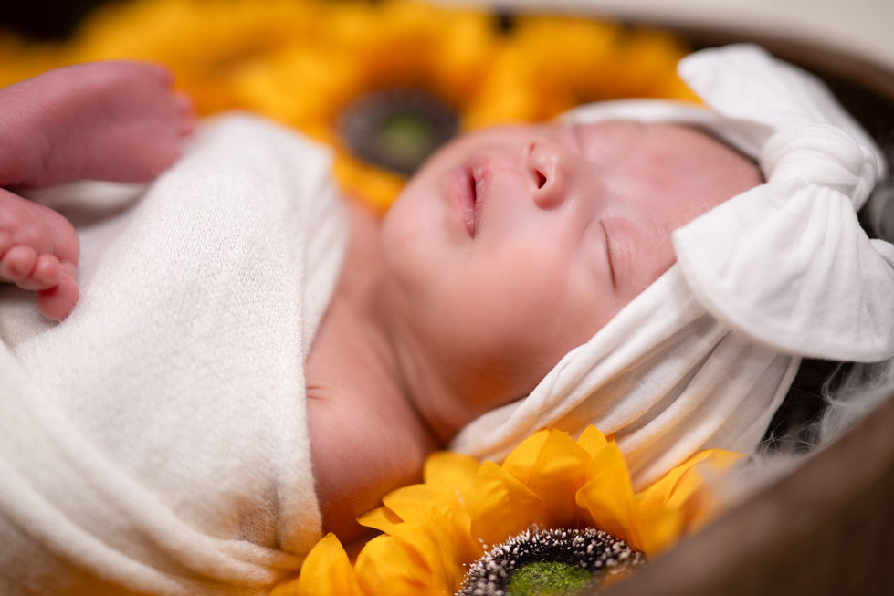 BabyRosalia_00026