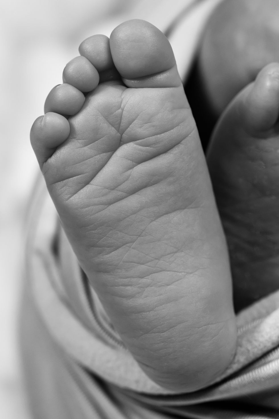 BabySage_00019