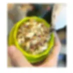 organic sprouts for birds