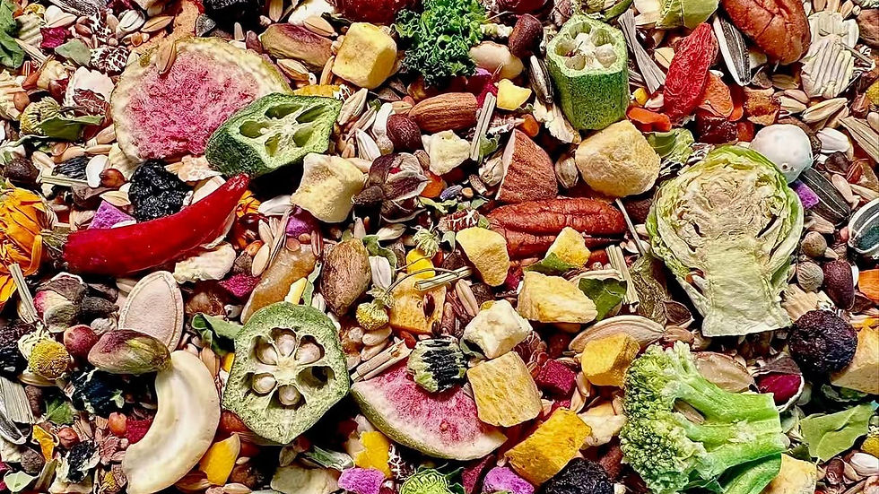 Various parrot food: Vegetables, fruits, and seeds provide balanced nutrition and care.