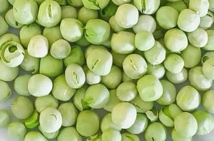 Thumbnail: freeze-dried pea