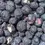 Thumbnail: freeze-dried blueberries