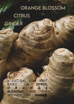Gingerlo-brochure2