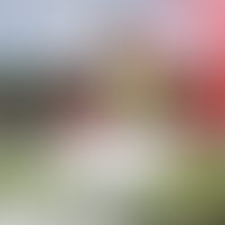 🔴 William Sery prolonge jusqu'en 2025 !