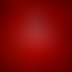 SECTION MASCULINE : Les résultats du 26 et 27 octobre 2024