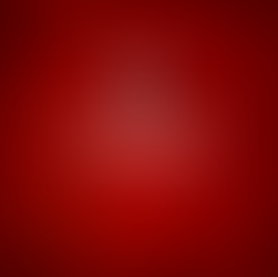 SECTION MASCULINE : Le programme du 09 et 10 novembre 2024