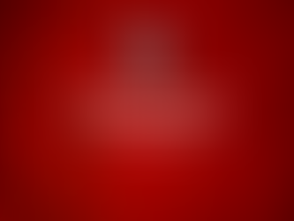 SECTION MASCULINE : Le programme du 09 et 10 novembre 2024