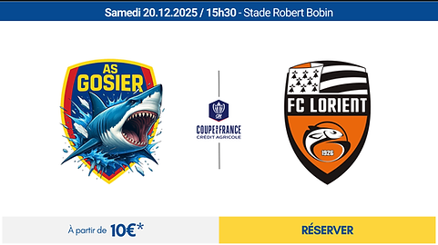 Charte Graphique - FC FLEURY 91 - 2425 - off (1).png