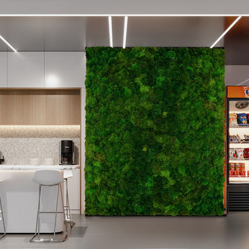 Living moss wall decor, green mood moss in the living room