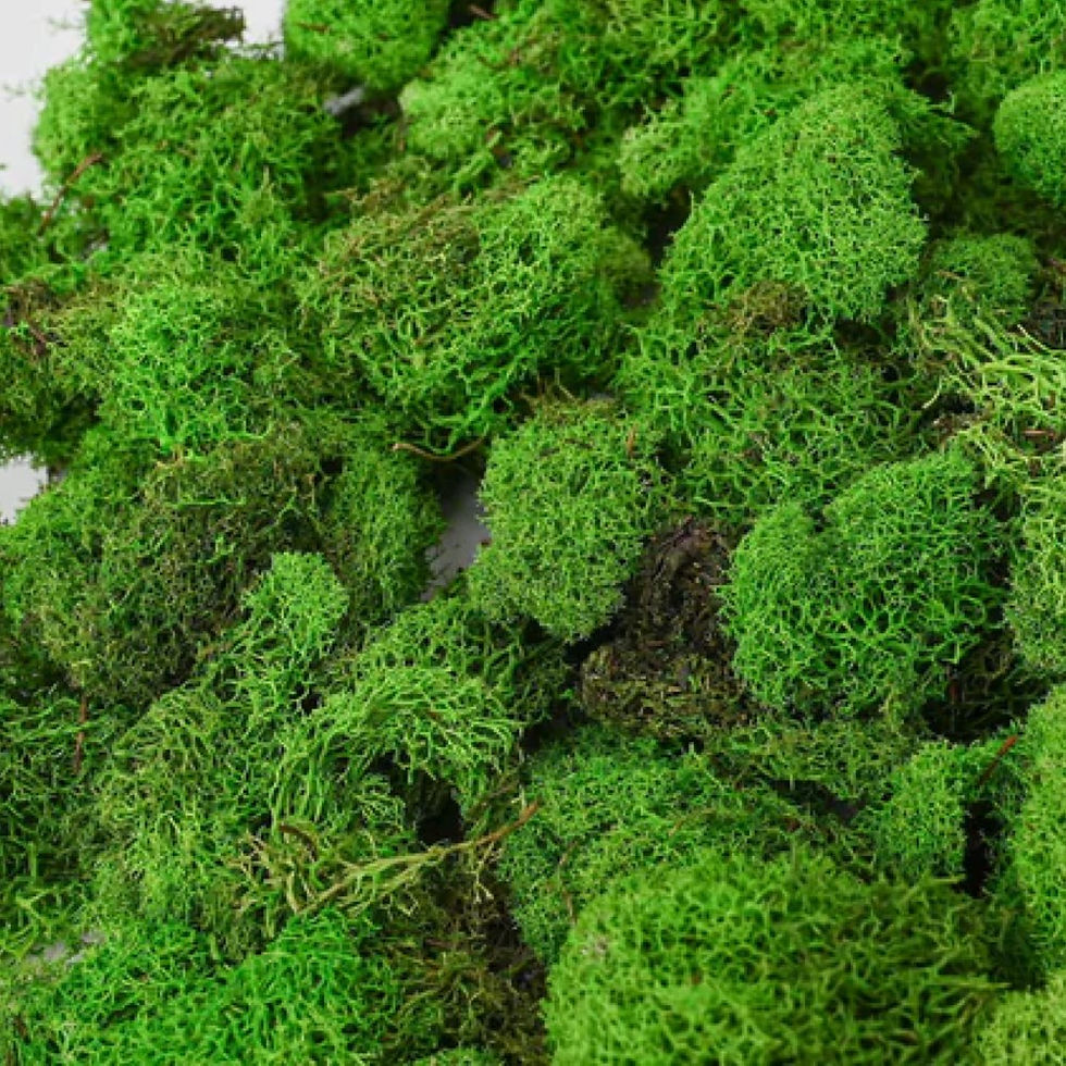 Preserved moss surface irregularities with uneven thickness and coverage gaps exposing backing material, affecting finish quality.