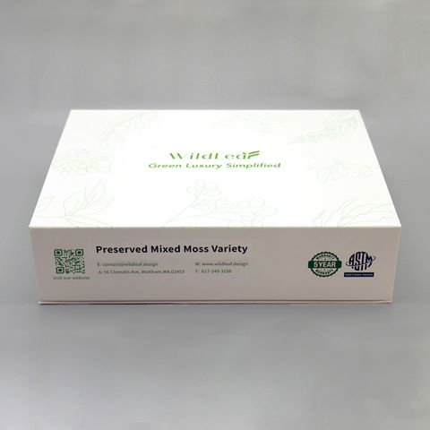 Closed Wildleaf preserved mixed moss variety sample box with company branding and contact information