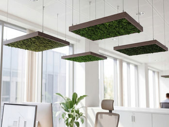 Suspended moss ceiling panels in a modern office, providing acoustic absorption and enhancing biophilic workspace design