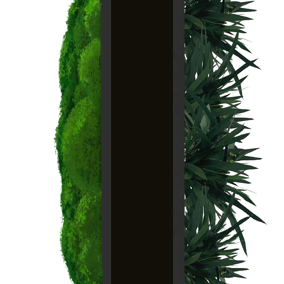 Cross-sectional view of a divider with preserved moss facing one side and preserved greenery facing the opposite side.