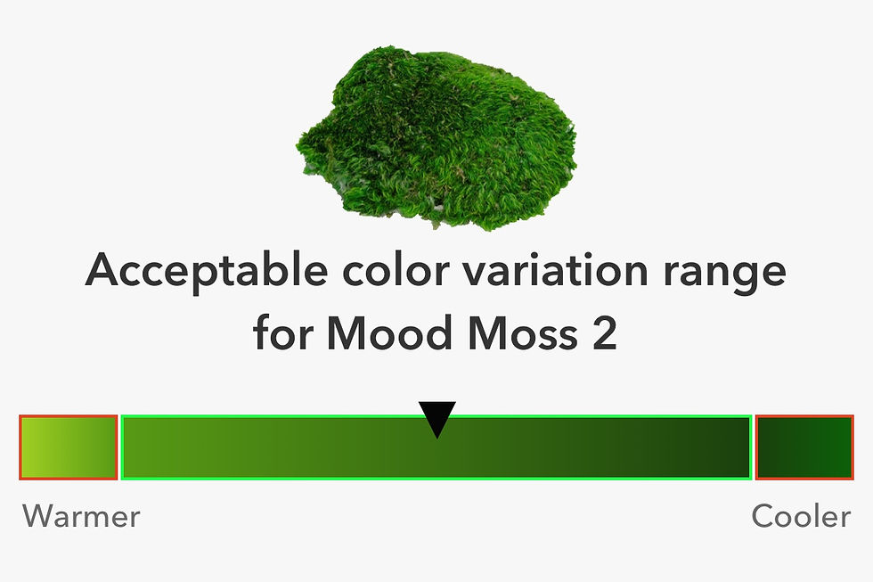 Acceptable color variation range for Mood Moss 2, displaying natural green spectrum from warm to cool tones for consistent biophilic design applications.