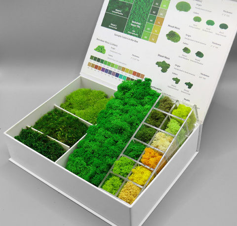 Preserved moss sample box with detailed color reference chart showing moss types and color options for design selection