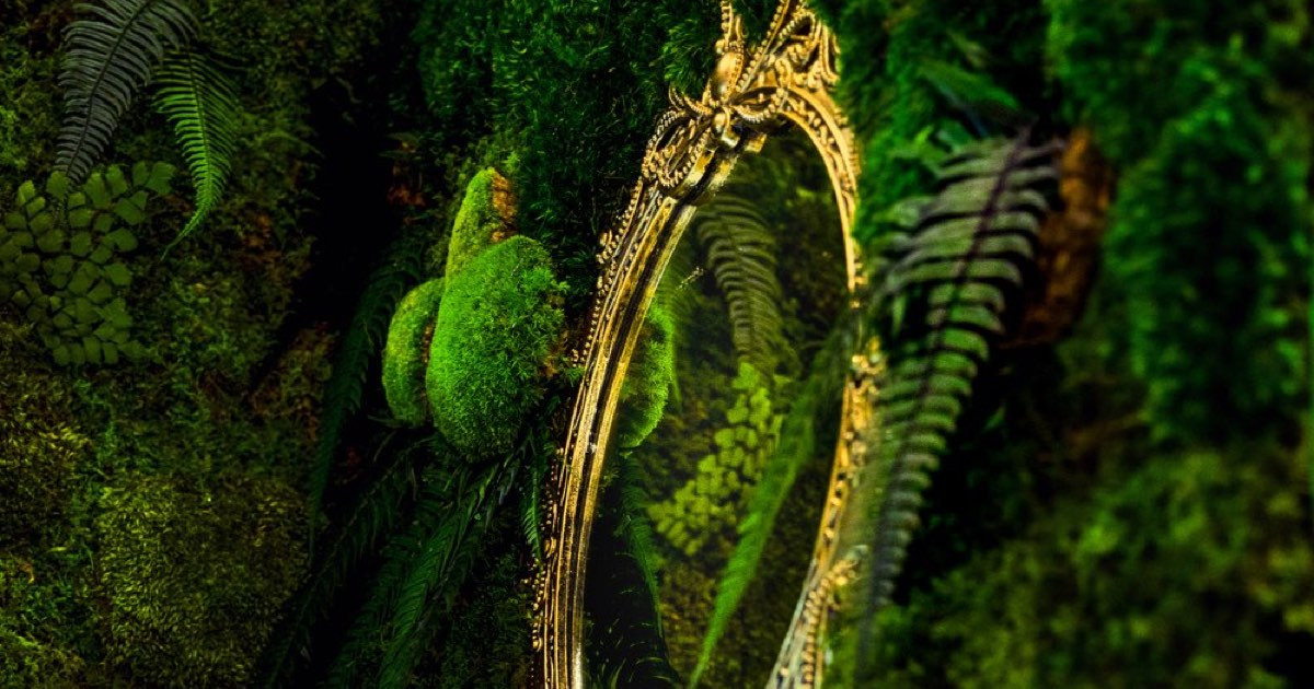 Contact Wildleaf | Moss Wall & Preserved Greenery Design | Boston