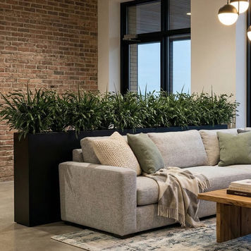 Indoor planter behind a sofa adding greenery and spatial separation in a modern living room setting
