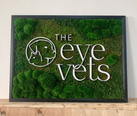 Our organic-style Moss Sign for a veterinary eye clinic combines Bun Moss, Sheet Moss, and Reindeer Moss, creating a textured and vibrant piece that highlights the clinic’s brand with elegance.