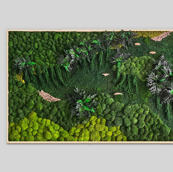 Left section of a framed preserved moss wall featuring layered textures, bun moss clusters and foliage accents in a biophilic design.