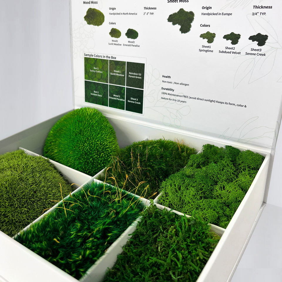 Sample - Preserved Mixed Moss Variety
