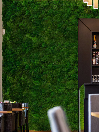 Wildleaf | Biophilic Design | Moss Wall Art | Boston