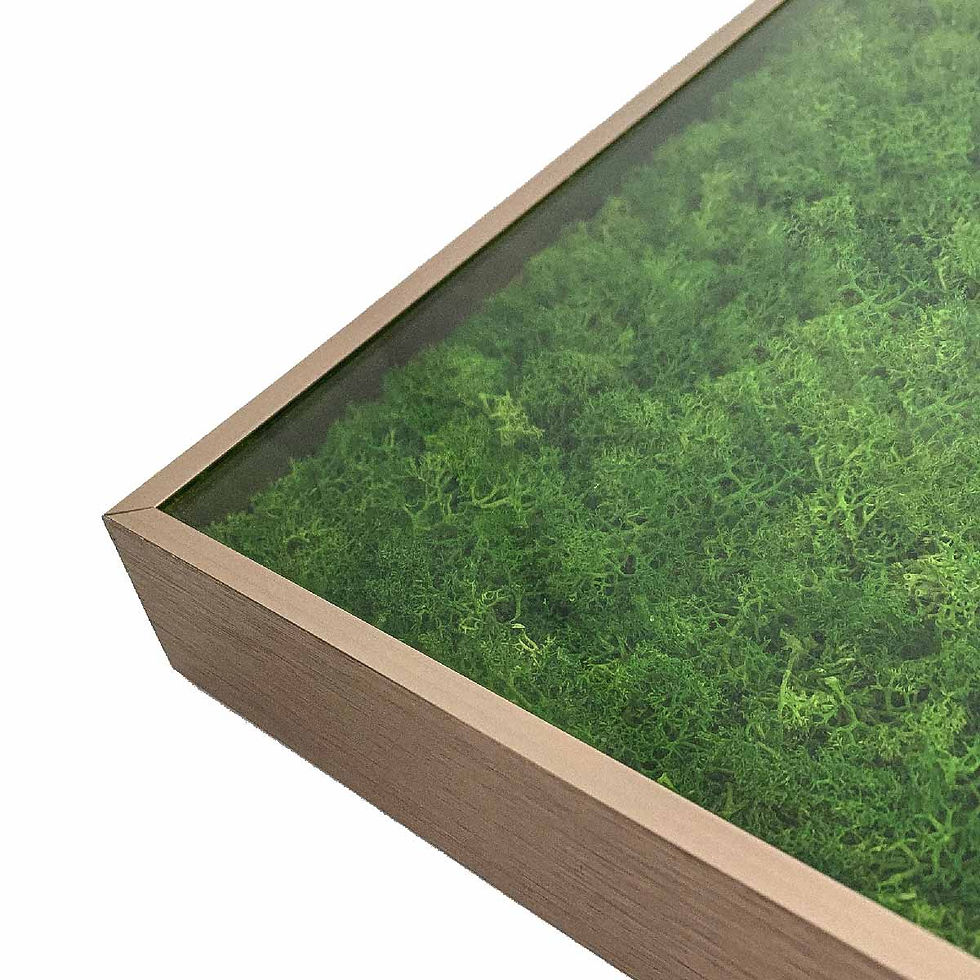 Corner detail of an acrylic-covered moss ceiling panel frame with preserved green reindeer moss and metallic finish.