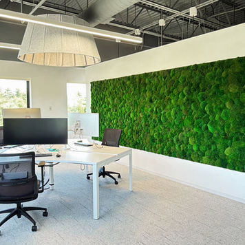 Large preserved mood moss wall in a contemporary office, creating a vibrant biophilic focal point.