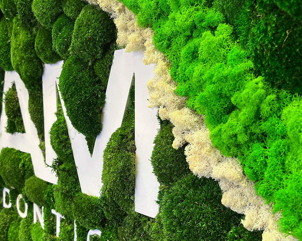 Close-up detail of forest moss wall with white logo lettering showing mixed preserved moss textures for dental clinic branding