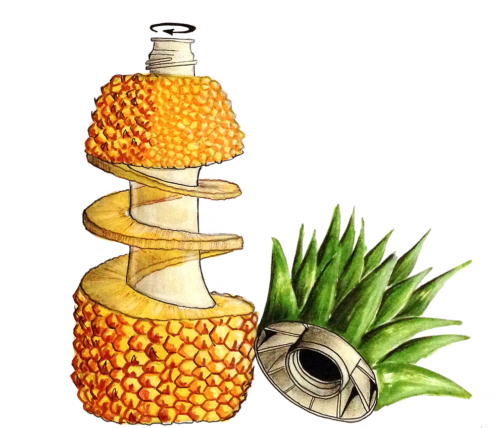 ananas bottle juice