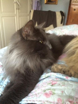 14725578_10207573668075069_4536520215822